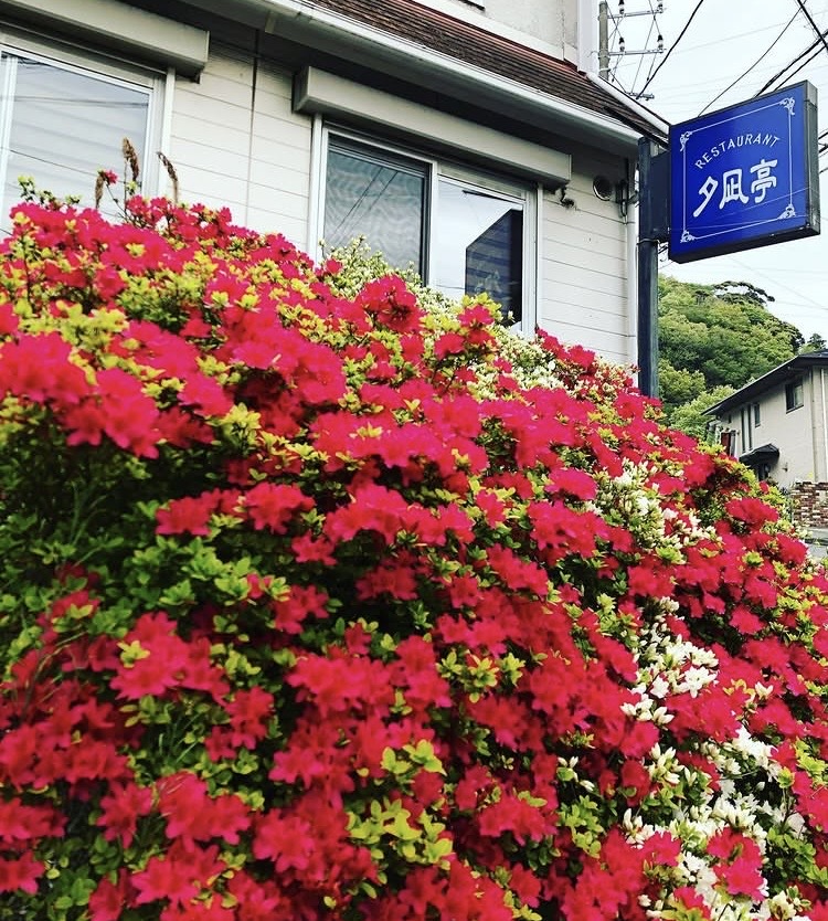 夕凪亭の外観と色鮮やかな花々